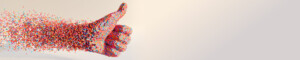 DeNovo banner
